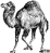 Perl